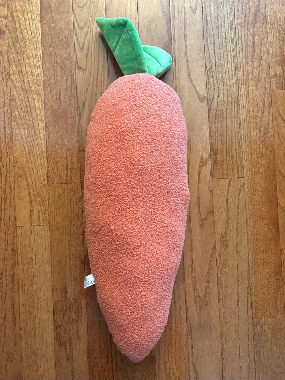 Giant carrot dog toy